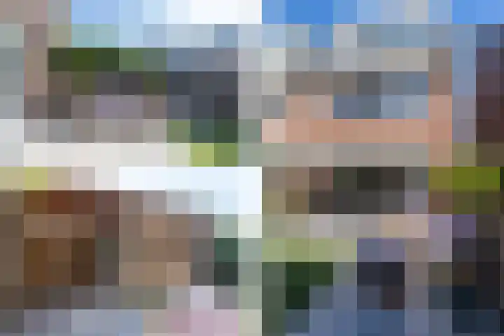 Tuimelaar 8 Naaldwijk thumbnail 4