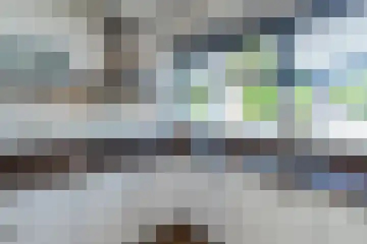 Tuimelaar 8 Naaldwijk thumbnail 8