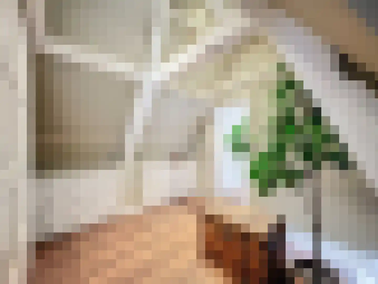 Tuimelsteenstraat 10 Aardenburg thumbnail 16