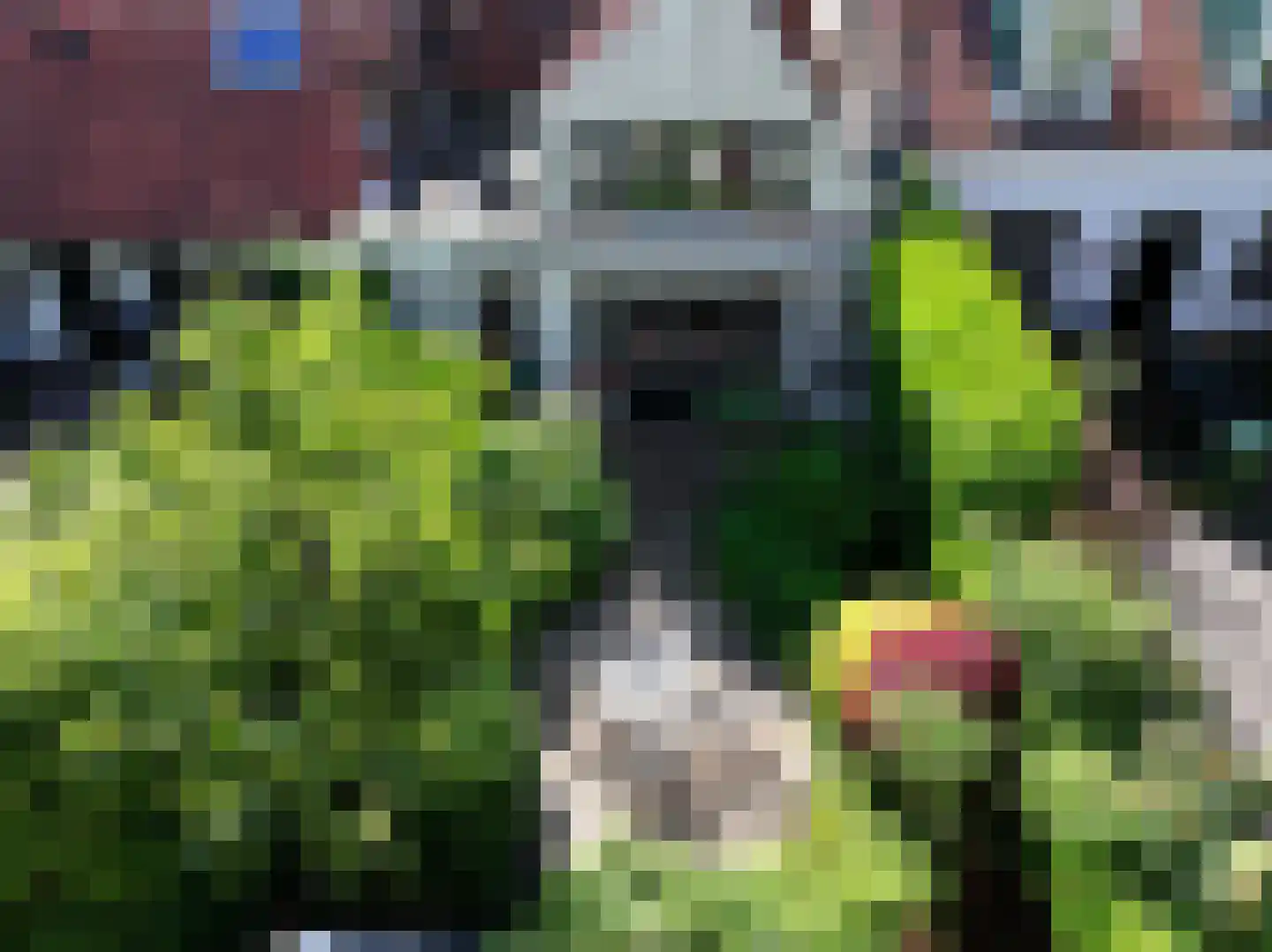 Tuimelsteenstraat 10 Aardenburg thumbnail 26