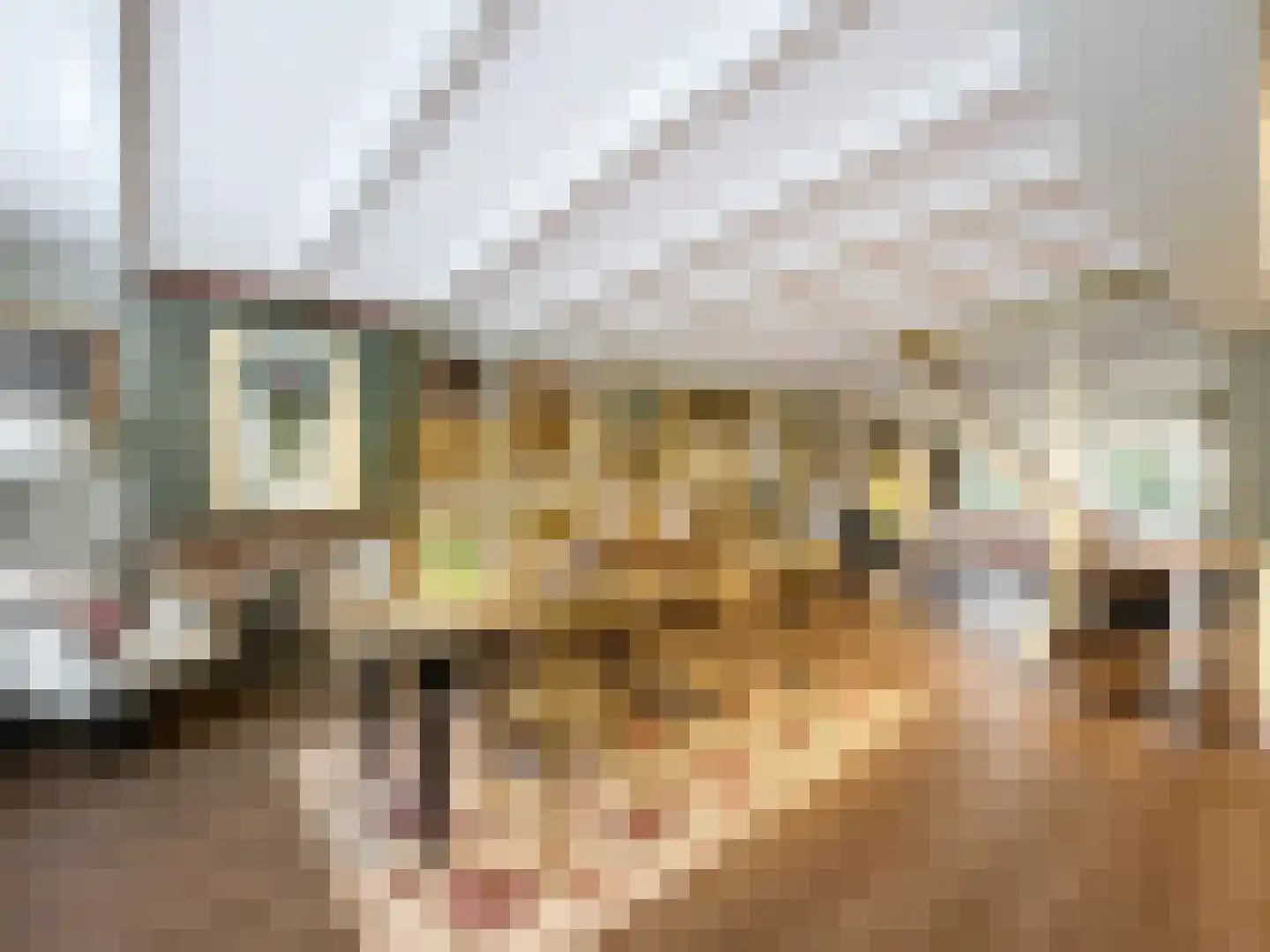 Tuimelsteenstraat 10 Aardenburg thumbnail 4