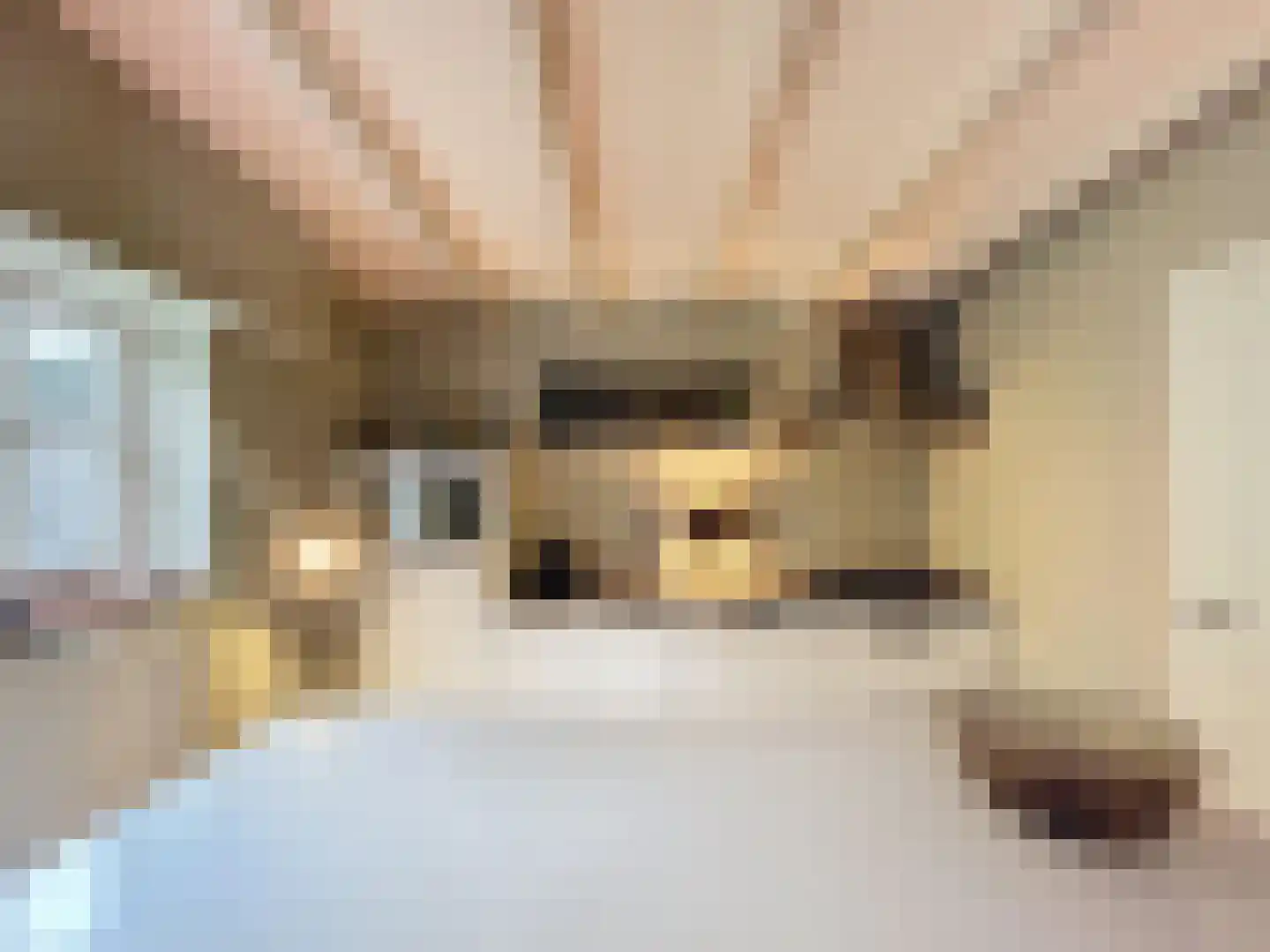 Tuimelsteenstraat 10 Aardenburg thumbnail 9