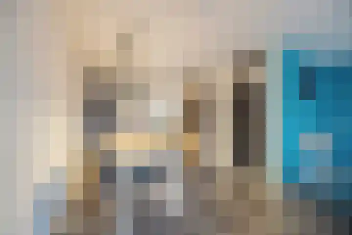 Tuin 11 Dongen thumbnail 11
