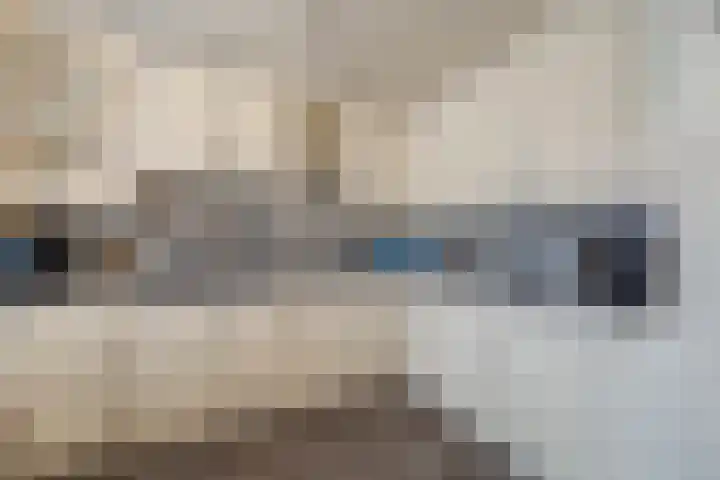 Tuin 11 Dongen thumbnail 20