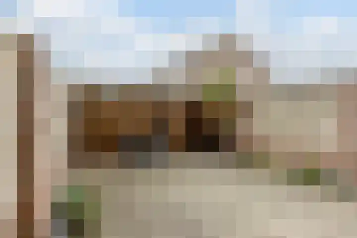 Tuin 11 Dongen thumbnail 25