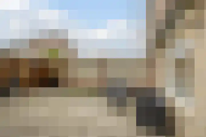 Tuin 11 Dongen thumbnail 26