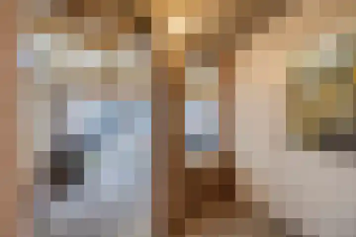 Tuin 11 Dongen thumbnail 30