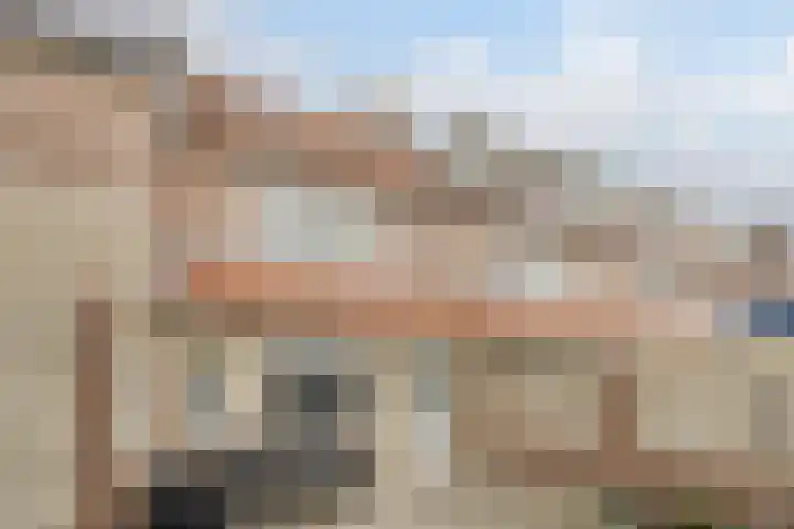 Tuin 11 Dongen thumbnail 4