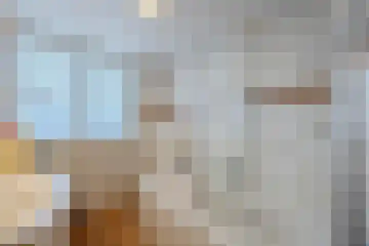 Tuin 11 Dongen thumbnail 42