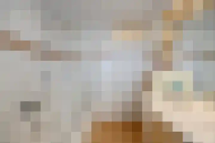 Tuin 11 Dongen thumbnail 45