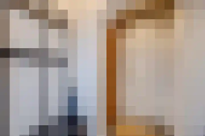 Tuin 11 Dongen thumbnail 5