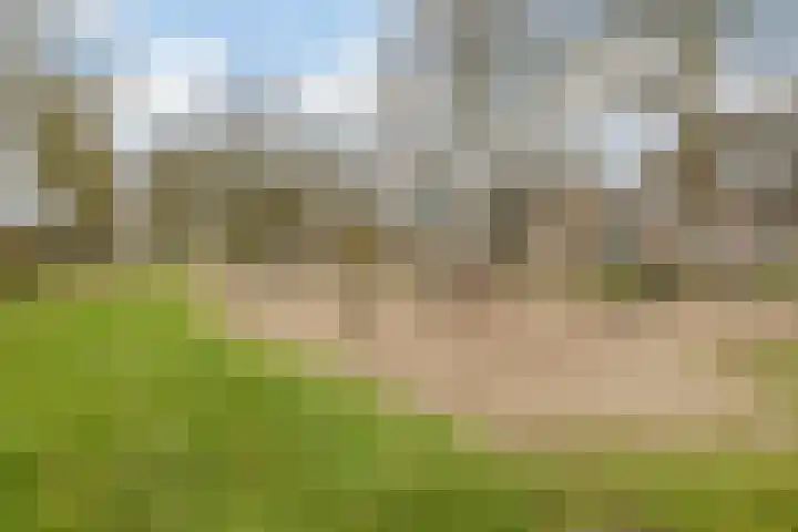 Tuin 11 Dongen thumbnail 52