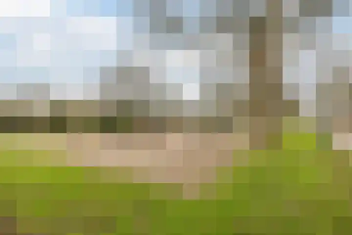Tuin 11 Dongen thumbnail 53
