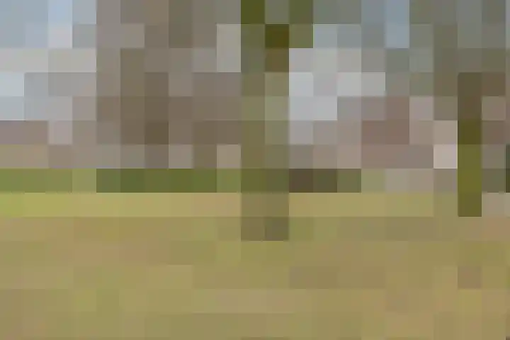 Tuin 11 Dongen thumbnail 54