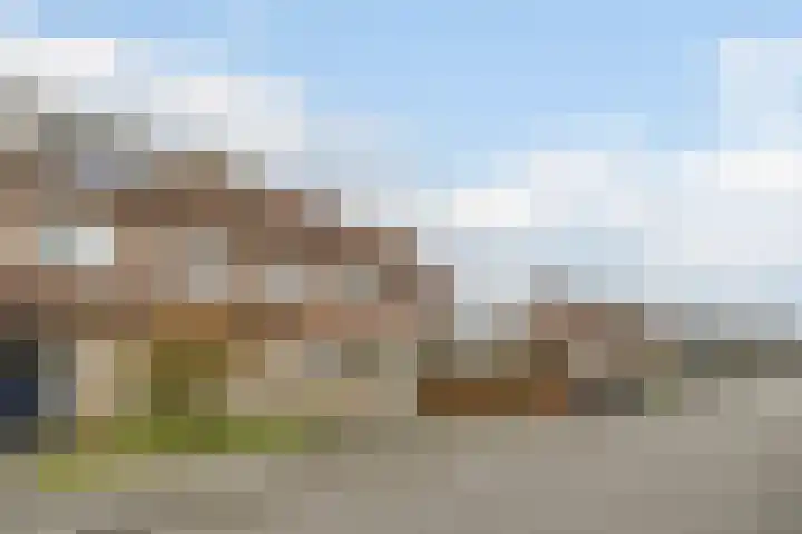 Tuin 11 Dongen thumbnail 58
