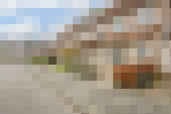 Tuin 11 Dongen thumbnail 59