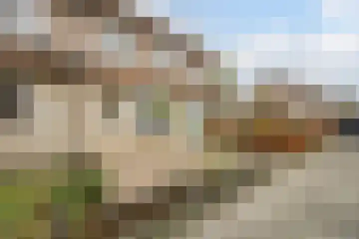 Tuin 11 Dongen thumbnail 60