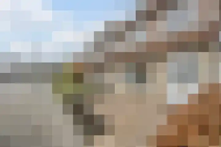 Tuin 11 Dongen thumbnail 61
