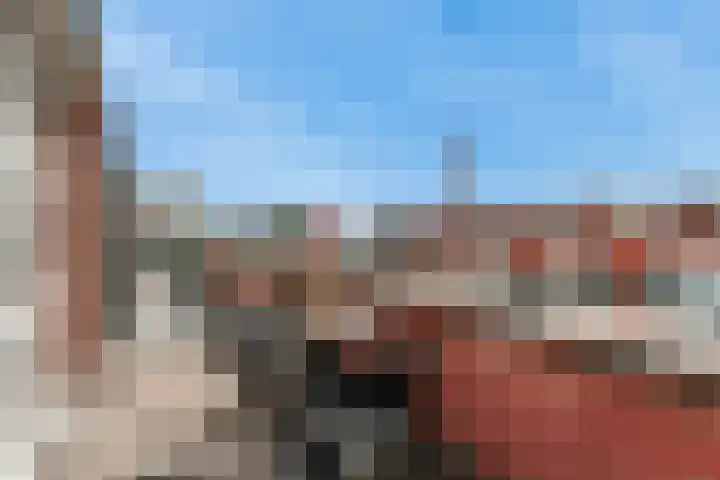 Tuin 12 Aalsmeer thumbnail 24