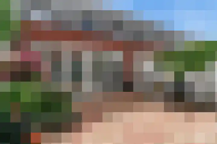 Tuin 12 Aalsmeer thumbnail 26