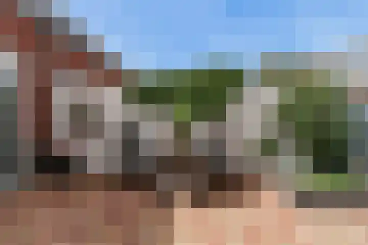 Tuin 12 Aalsmeer thumbnail 27