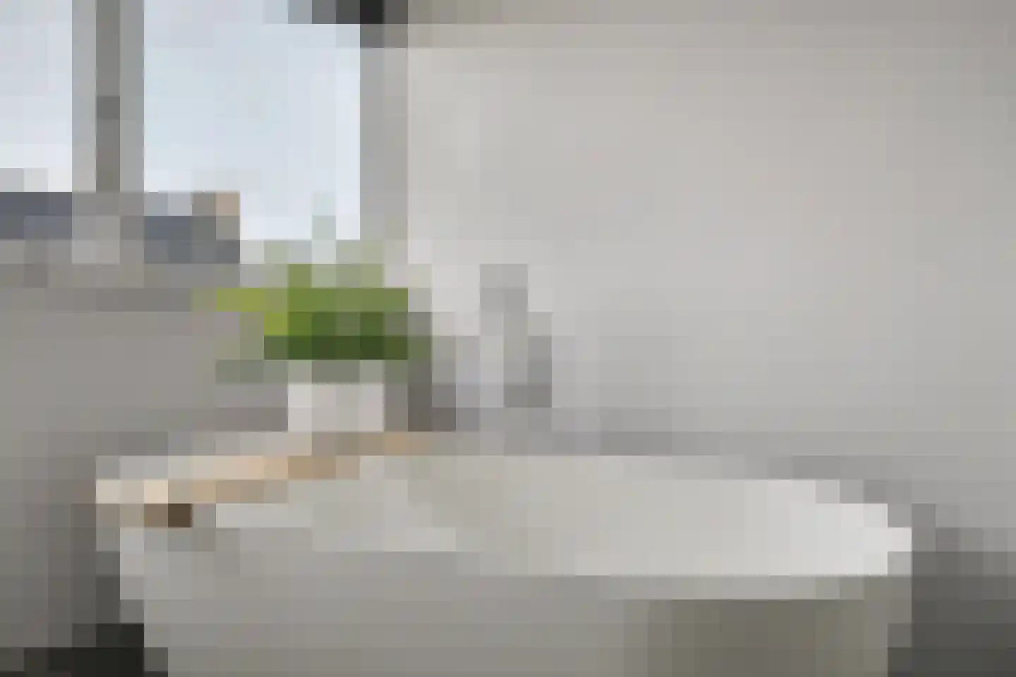 Tuin 19 Oosterland thumbnail 22