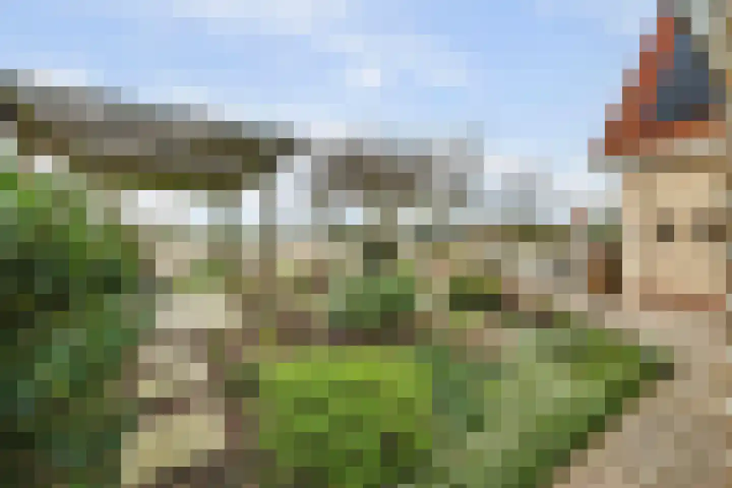 Tuin 19 Oosterland thumbnail 24