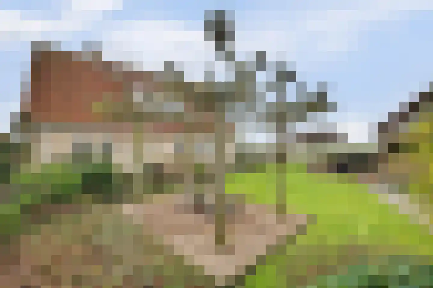 Tuin 19 Oosterland thumbnail 25
