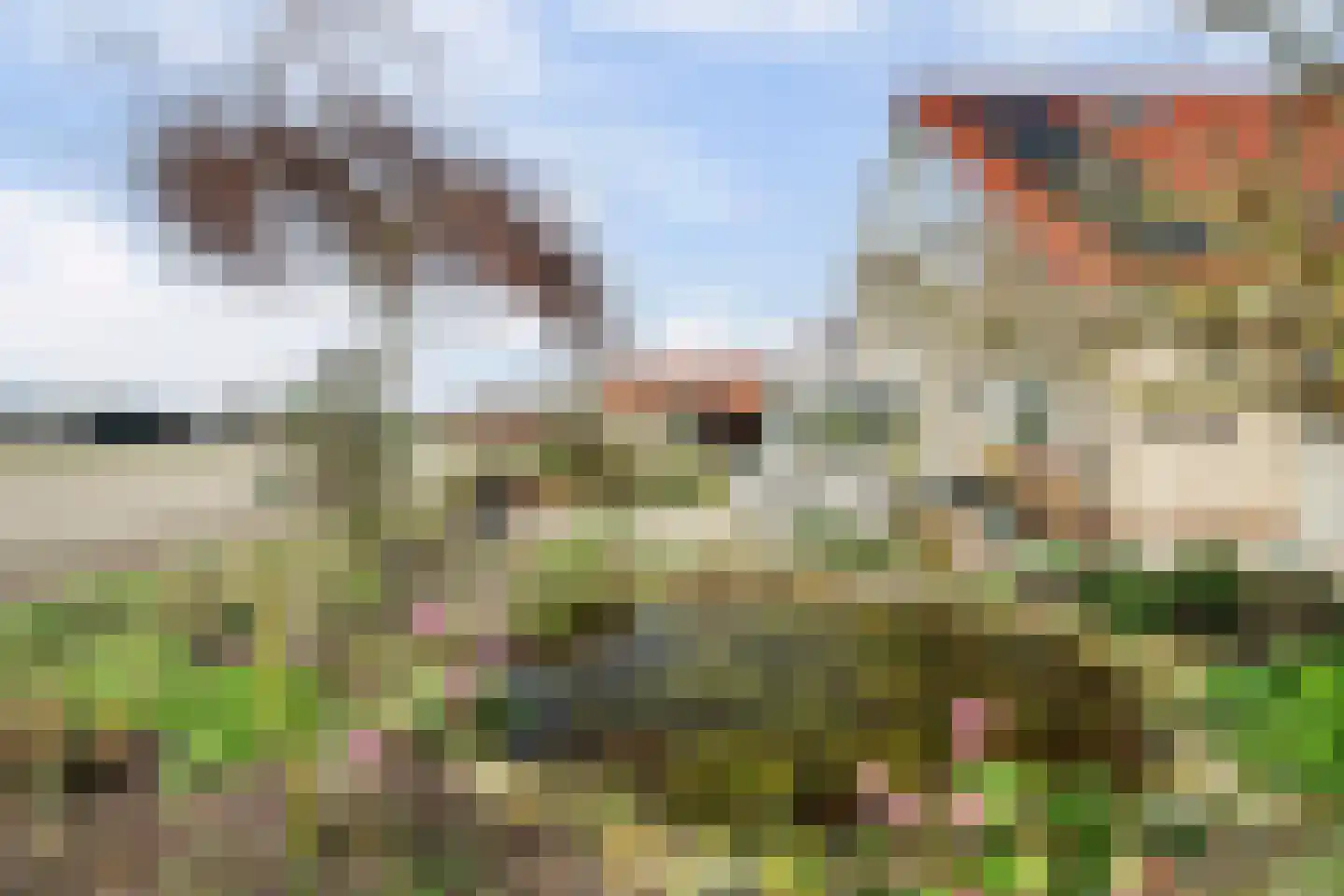 Tuin 19 Oosterland thumbnail 26
