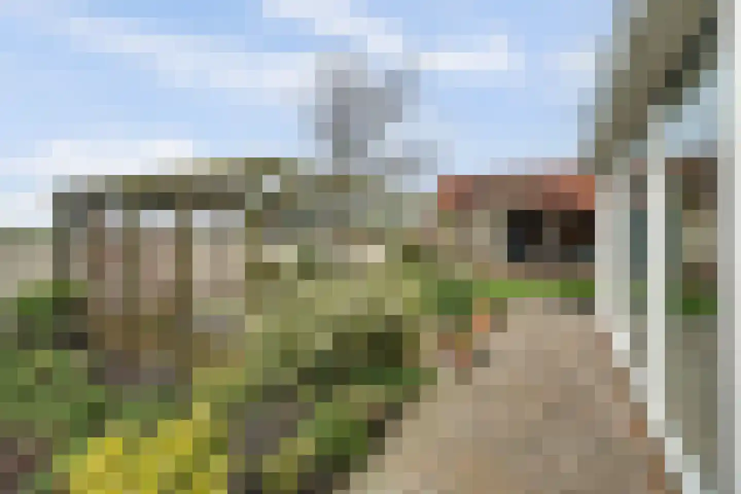 Tuin 19 Oosterland thumbnail 28