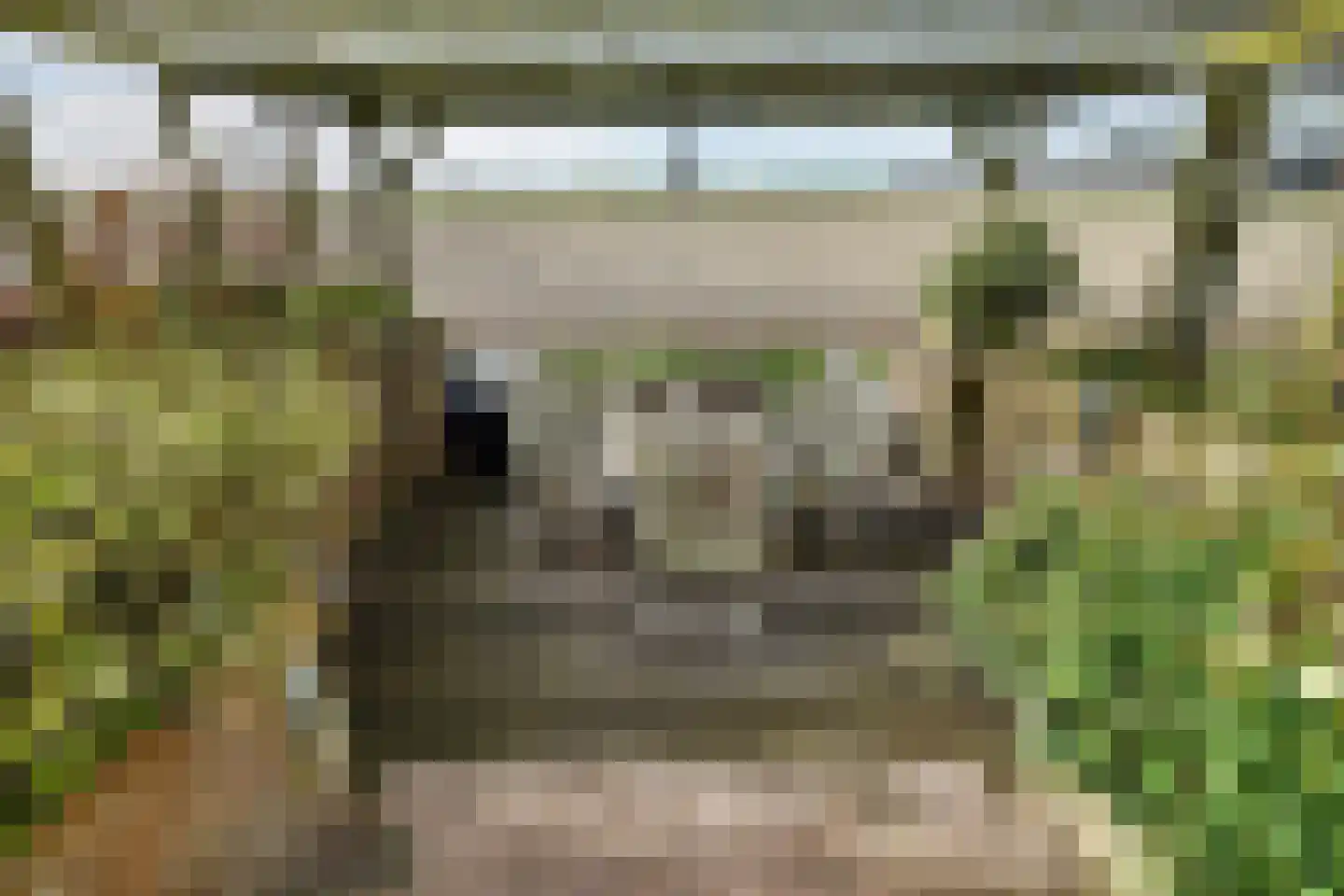 Tuin 19 Oosterland thumbnail 29