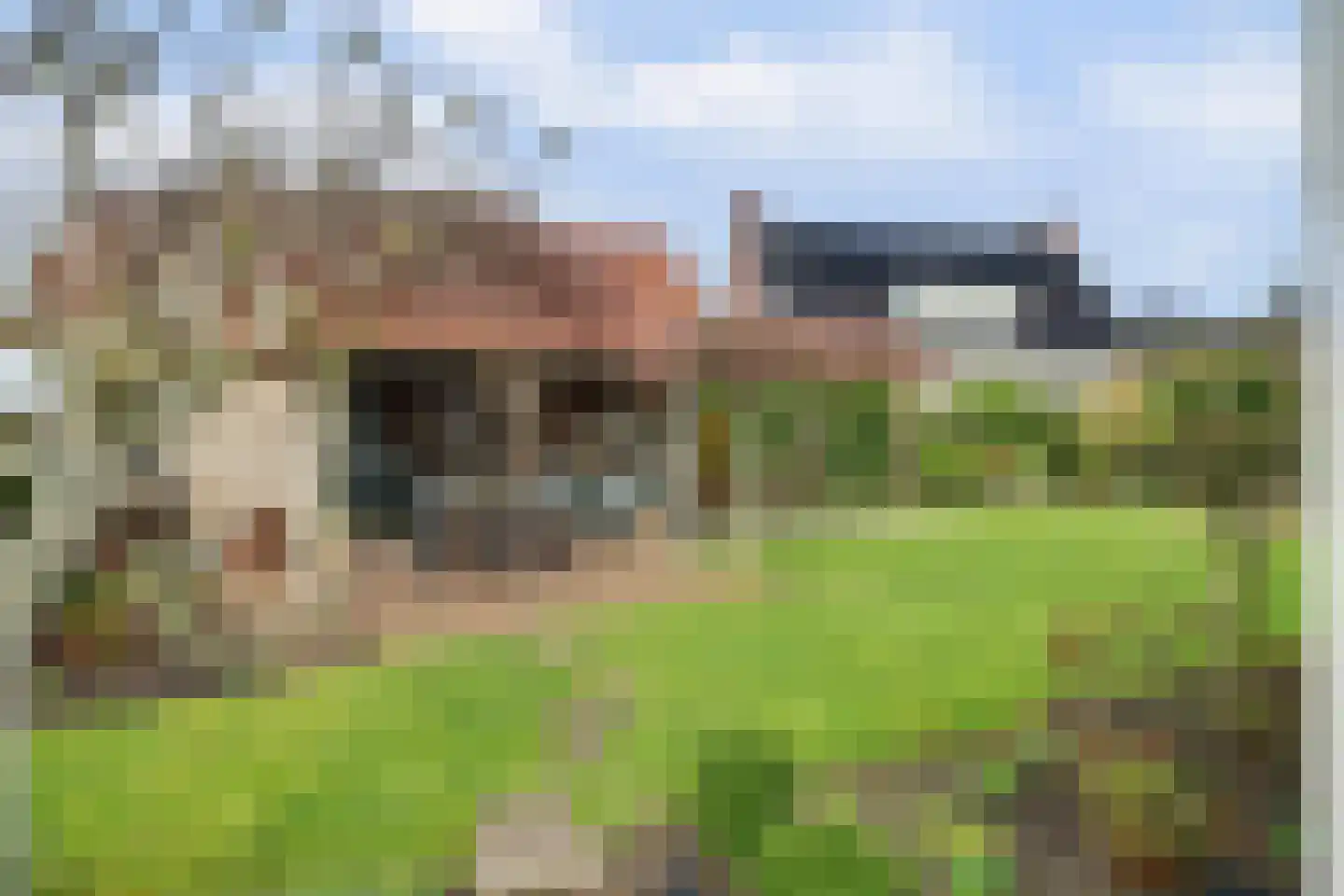 Tuin 19 Oosterland thumbnail 31