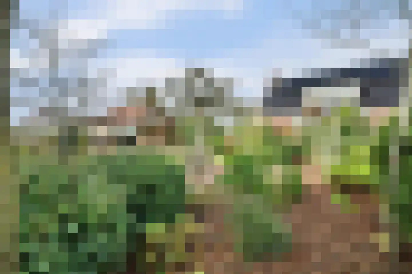 Tuin 19 Oosterland thumbnail 33