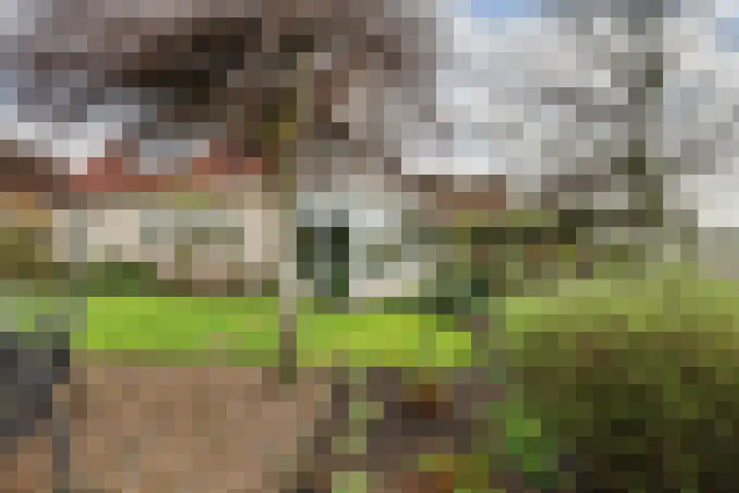 Tuin 19 Oosterland thumbnail 34