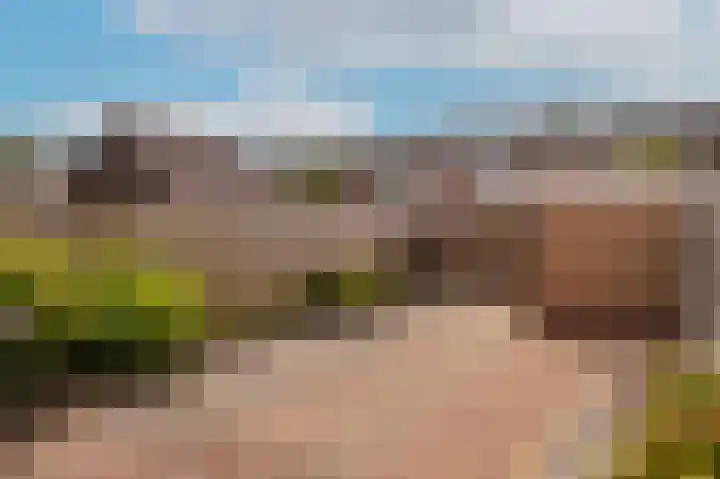 Tuin 3 Spijk thumbnail 21