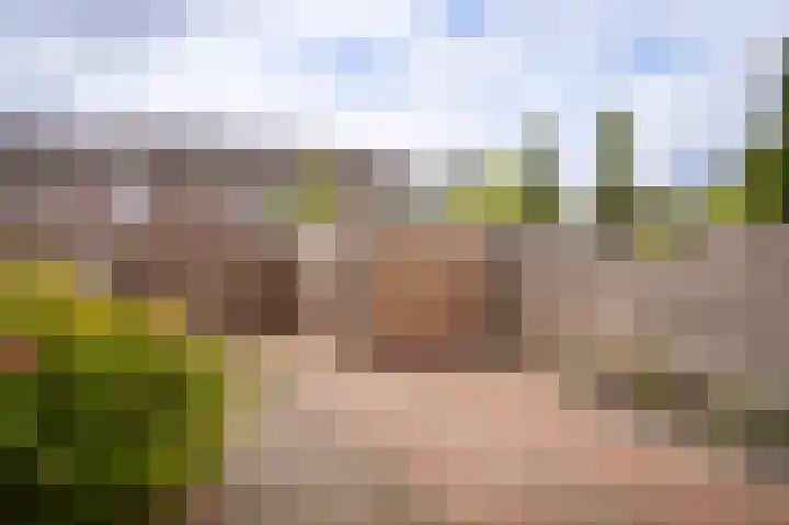Tuin 3 Spijk thumbnail 22