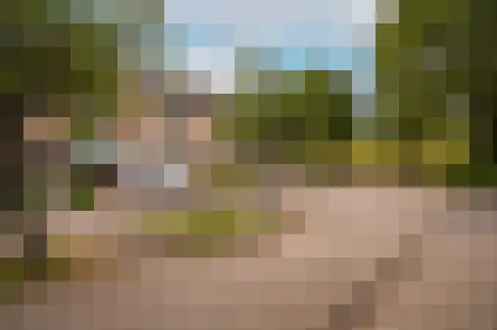 Tuin 3 Spijk thumbnail 24
