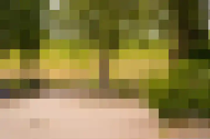 Tuin 3 Spijk thumbnail 25