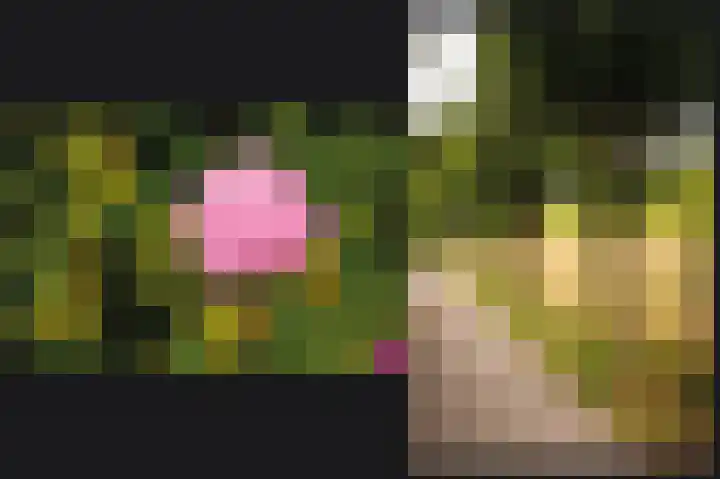 Tuin 3 Spijk thumbnail 26