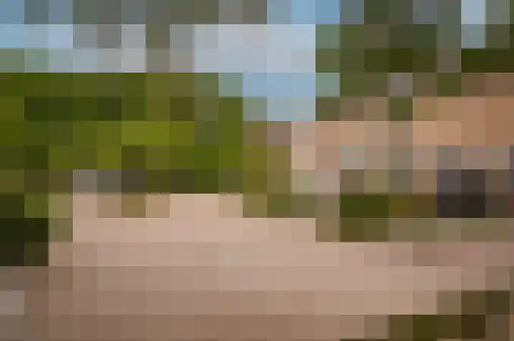 Tuin 3 Spijk thumbnail 27