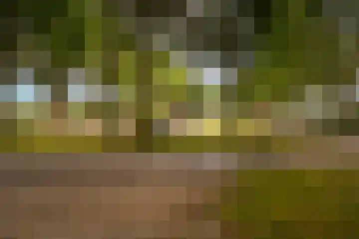 Tuin 3 Spijk thumbnail 28