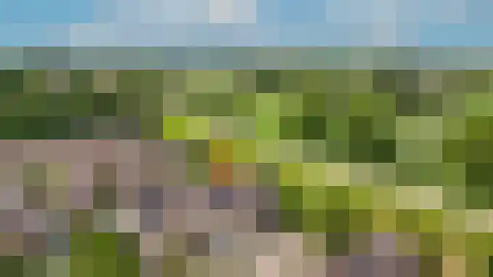 Tuin 3 Spijk thumbnail 29