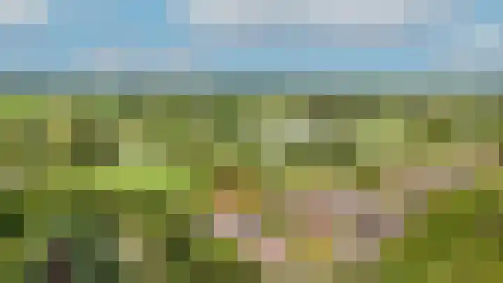 Tuin 3 Spijk thumbnail 30