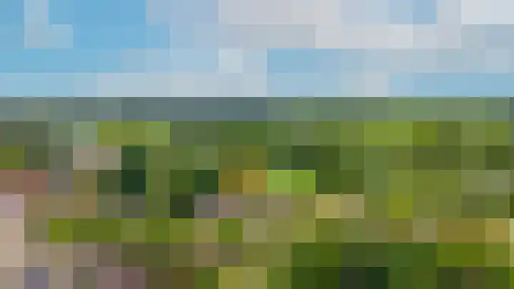 Tuin 3 Spijk thumbnail 31