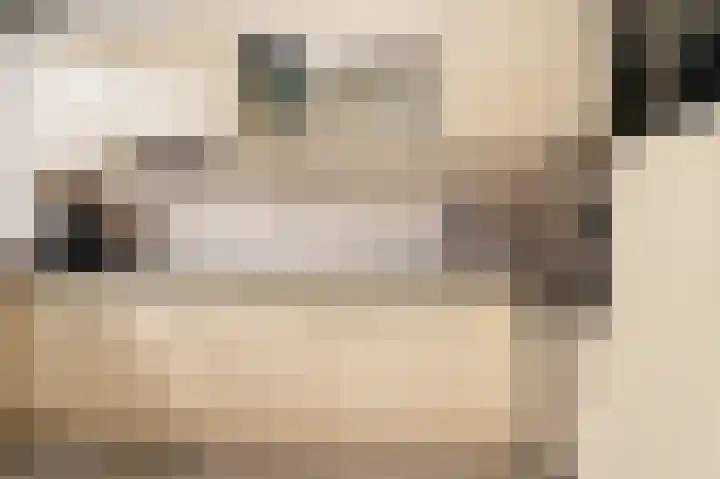 Tuin 3 Spijk thumbnail 4