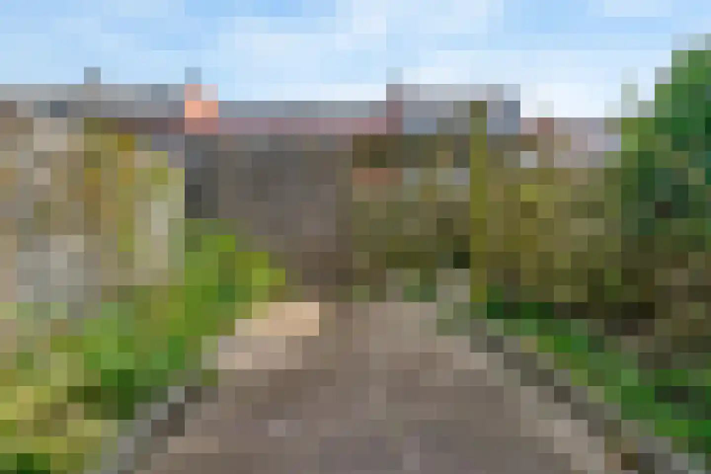 Tuin 4 Aalsmeer thumbnail 26