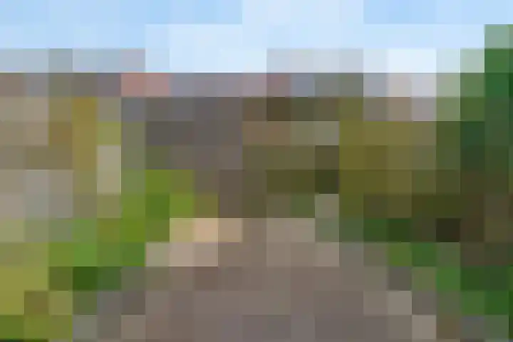 Tuin 4 Aalsmeer thumbnail 26