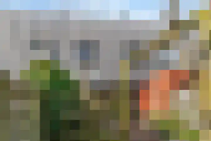 Tuin 4 Aalsmeer thumbnail 29