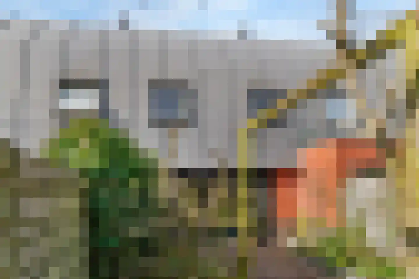 Tuin 4 Aalsmeer thumbnail 29