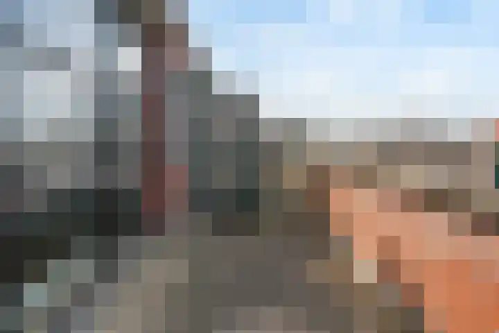 Tuin 4 Aalsmeer thumbnail 30